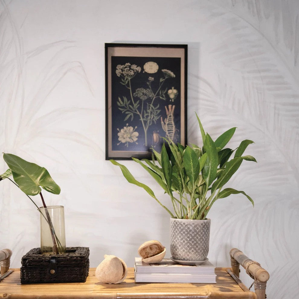 Botanical Framed Wall Decor
