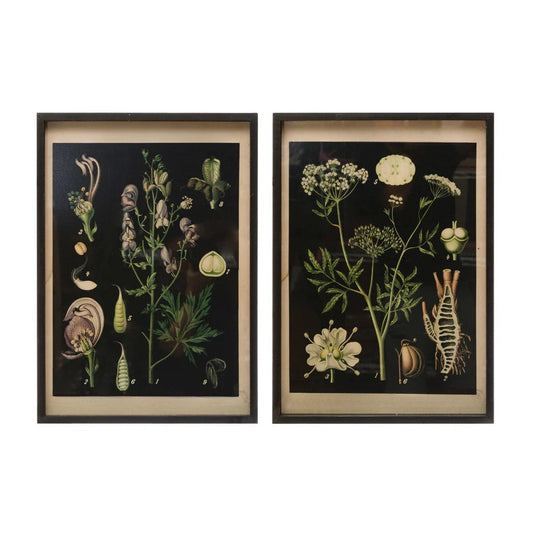 Botanical Framed Wall Decor