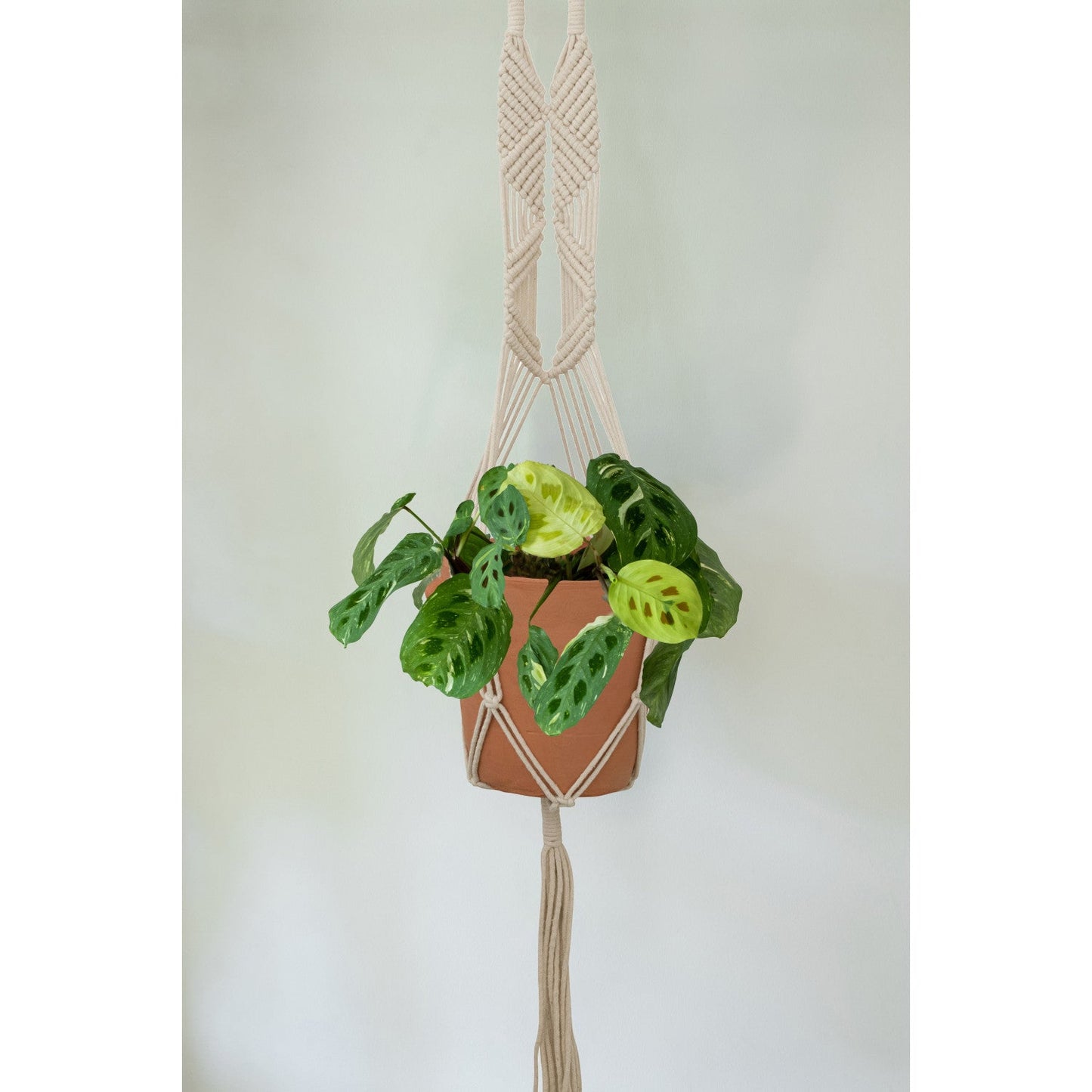 Hand-Woven Cotton Macrame Plant Hanger