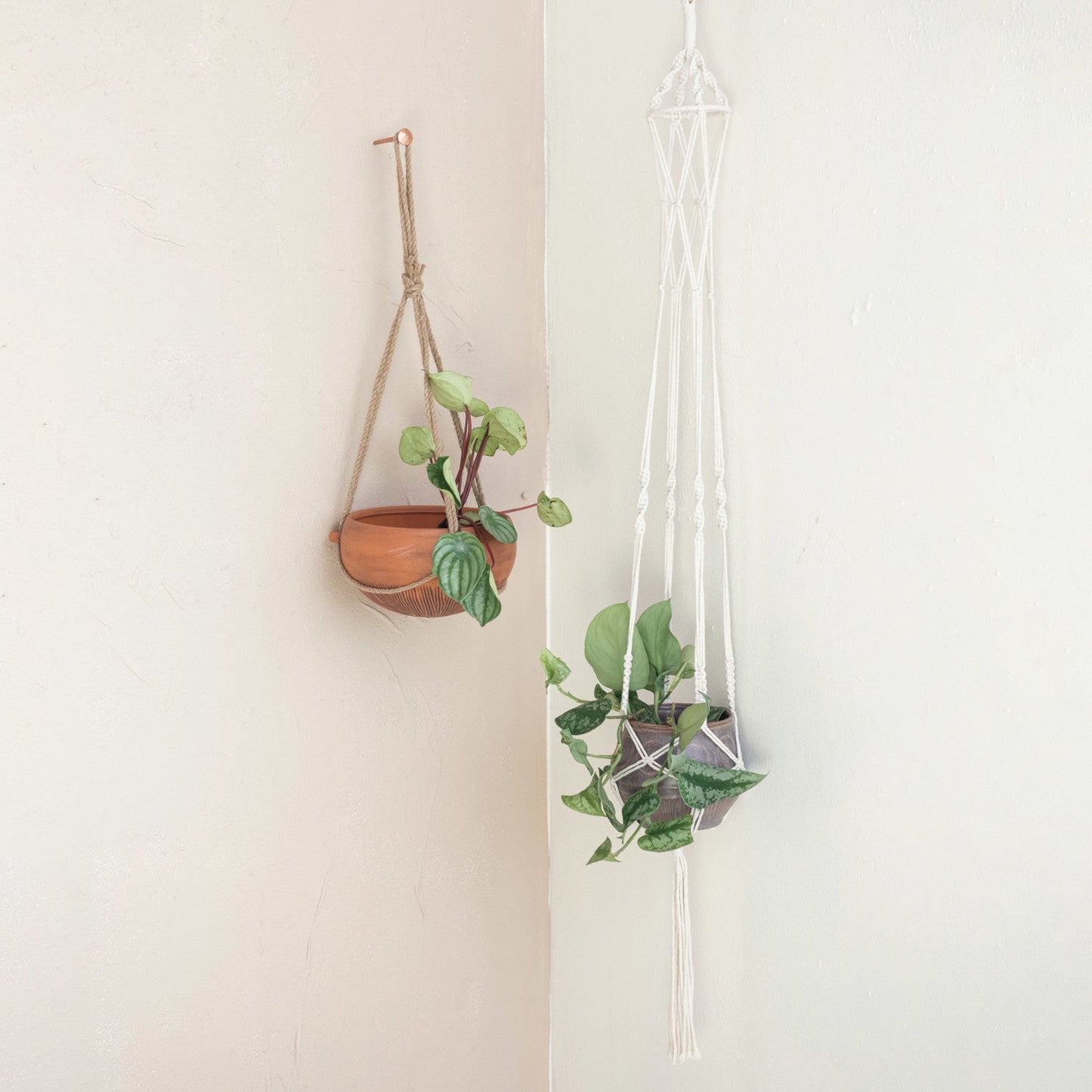 Macrame Plant Hanger w/ Wood Ring