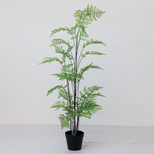 4ft Tall Pteris Fern in Pot - Faux